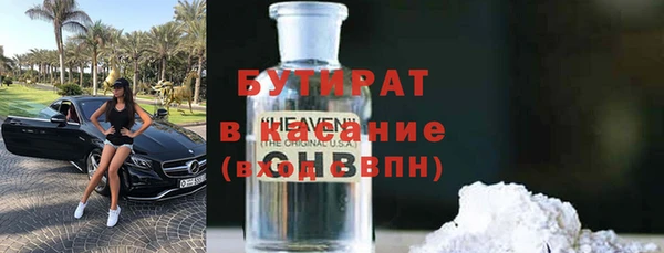 гашик Алексин