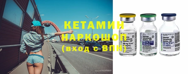 гашик Алексин