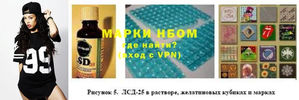 гашик Алексин