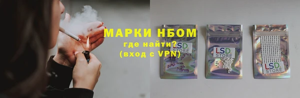 гашик Алексин
